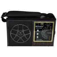 R&aacute;dio Retr&ocirc; Recarreg&aacute;vel Am Fm 5w Rms 4 Ohms